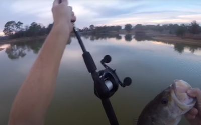 First Svivlo unboxing and trial