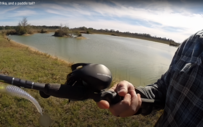 Catching largemouth bass