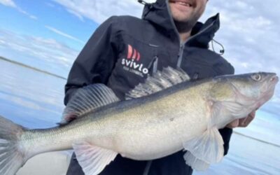 How Svivlo Reels Elevate Fishing for All Skill Levels