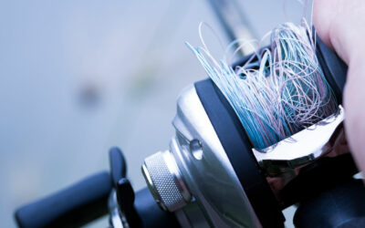 Why Backlash Happens and How Svivlo Solves It Forever